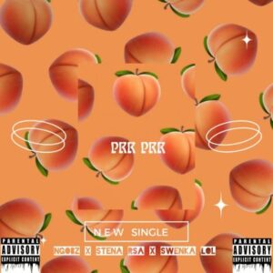 Ngobz, Stena & Swenka 101 – Prr Prr (To Njelic, Uncle Wafles & Major League DJz)