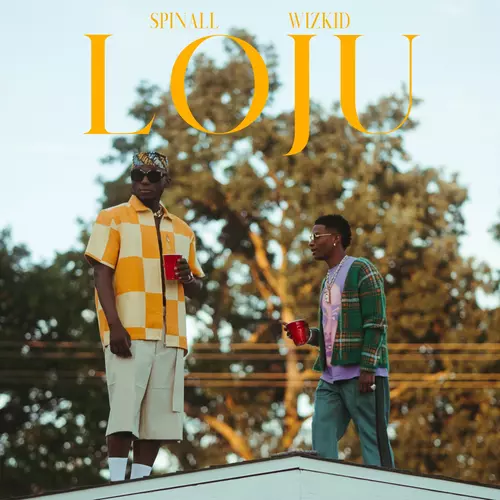 Spinall – Loju