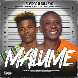 Elvirgo & TallexQ - Malume 2.0