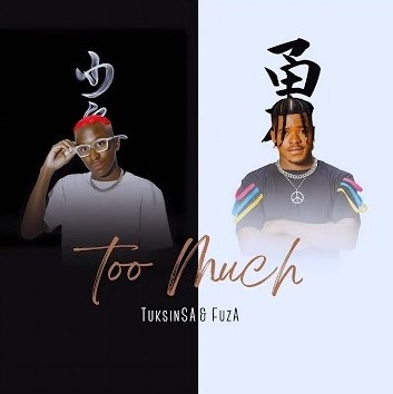 TuksinSA & Fuza - Too Much