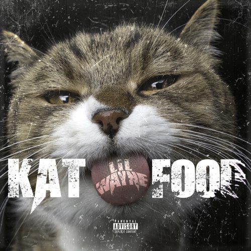 Lil Wayne – “Kat Food”