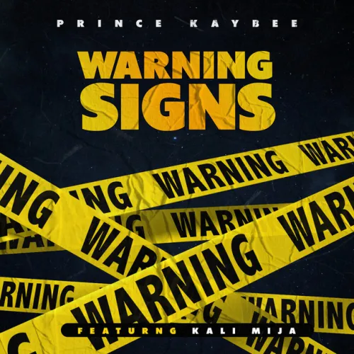 Prince Kaybee - Warning Signs