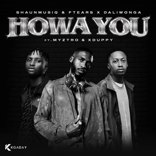 Daliwonga, ShaunMusiQ & Ftears – Howa You