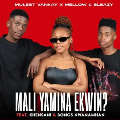 Mulest Vankay & Mellow & Sleazy – MALI YAMINA EKWIN?