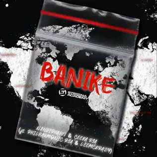 Nandipha808 & Ceeka RSA – Banike