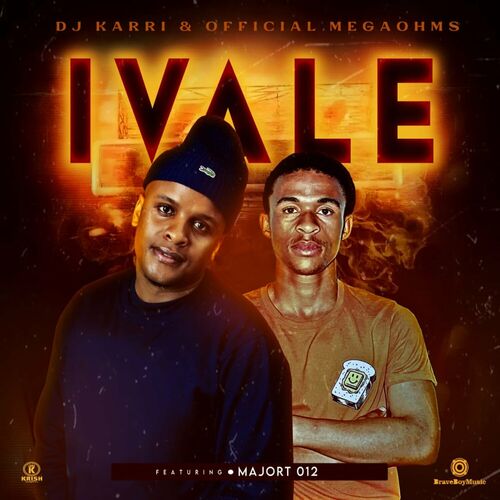 DJ Karri & Official Megaohms - iVale