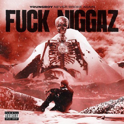 YoungBoy Never Broke Again – “Fuck Niggaz”