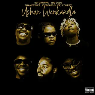 031Choppa & Big Zulu - Ushuni We Nkandla