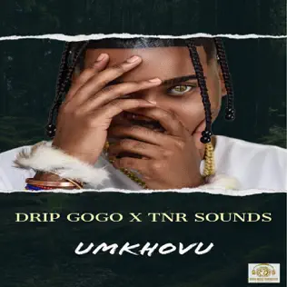 Drip Gogo & TNR Sounds - uMkhovu