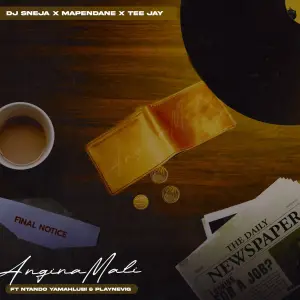 DJ Sneja, Tee Jay & Mapendane RSA – Anginamali