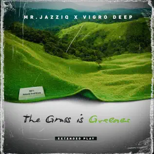 Mr JazziQ & Vigro Deep - Fede