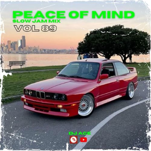 DJ Ace - Peace of Mind Vol 89 (28 July 2024 Slow Jam Mix)