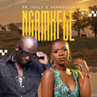 Dr Thulz & Vernotile - Ngamkele