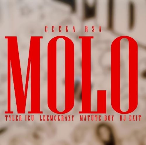 Ceeka RSA - Molo