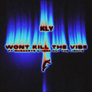 KLY - WON'T KILL THE VIBE