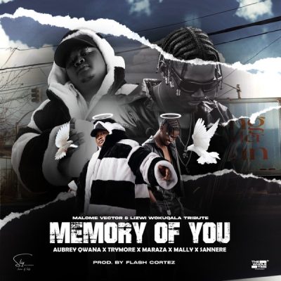 Malome Vector & Lizwi Wokuqala – Memory Of You