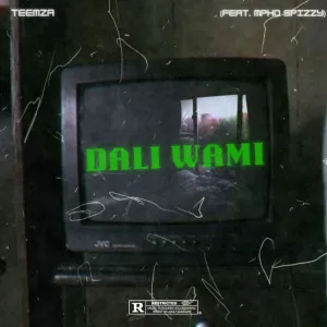 Teemza – Dali Wami