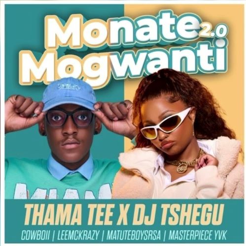 Thama Tee & DJ Tshegu - Monate Mogwanti 2.0