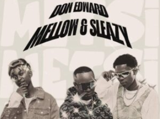 Don Edward & Mellow & Sleazy – Metsi