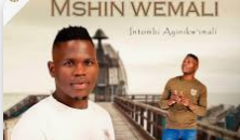 Mshinwemali - Ngicel Uhambe (feat. Zothando)