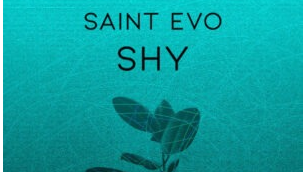 Saint Evo – Shy (Original Mix)