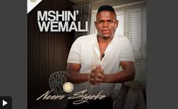 Mshinwemali - Ngena