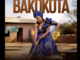 Pleasure Tsa Manyalo – Bakokota