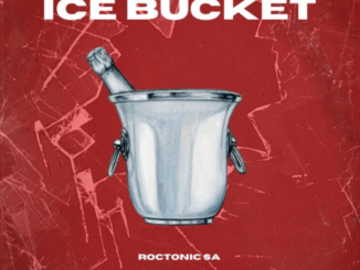 Roctonic SA – Ice Bucket