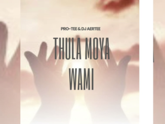 Pro-Tee & Dj Aertee - Thula Moya Wami