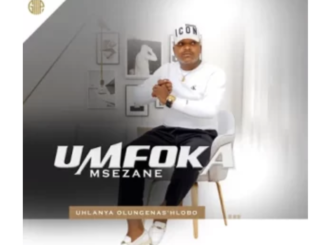 Umfoka Msezane – WemaBiyela