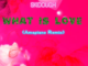 What Is Love Baby Don't Hurt Me Amapiano Remix