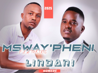 Msway'pheni - Kwenzenjani Ft. Lindani Gumede