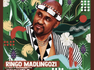 Ringo Madlingozi - NOMSA