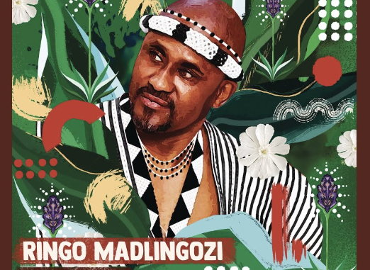 Ringo Madlingozi - NOMSA