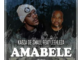 Kabza De Small - Amabebe (Shaya) ft. LeehLeza