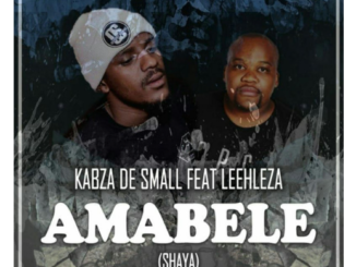 Kabza De Small feat. Leehleza – Amabele Shaya (Original Mix)