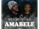 Kabza De Small feat. Leehleza – Amabele Shaya (Original Mix)