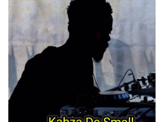 Kabza De Small – Umsholozi (Remake)