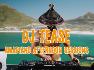 Dj Tease - AMAPIANO MIX 2024/2025