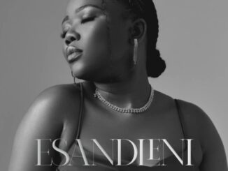 Nontokozo Mkhize – Esandleni