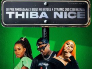 DJ Prie Nkosazana – Thiba Nice (feat. Bizizi, No Kaygee, Dynamic Duo & DJ Katalia)