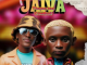 Thama Tee & Cowboii – Jaiva (feat. Al xapo, Xduppy & Lolli Pop)