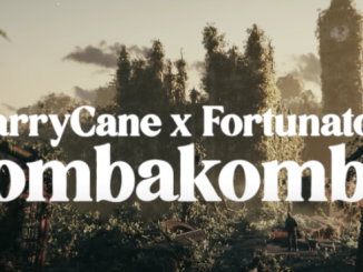 Harry Cane & Fortunator – Gombagomba