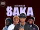 Chingza – Saka (feat. K-Mula, Deepersoul, Xavi Yentin & Mr Abie)