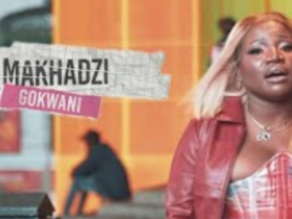 Makhadzi – Gokwani Ft. Mizo Phyll