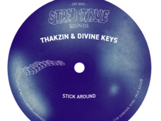 Thakzin & Divine Keys – Stick Around