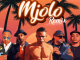 TOSS, Scotts Maphuma & Young Stunna – Mjolo (Part 2) (feat. DJ Maphorisa, Uncool MC, Cuba Beats & Tyler ICU)