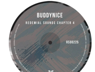 Buddynice – Redemial Sounds Chapter 4 (Album)