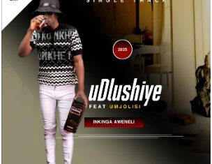 uDlushiye – Inkinga Aweneli ft uMjolisi