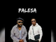 Dj Maphorisa Ft. DJ Tira - Palesa